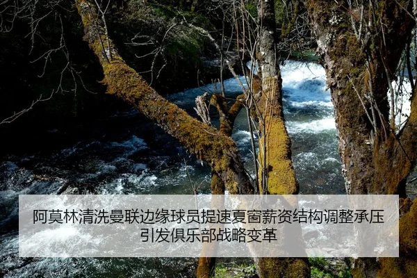 阿莫林清洗曼联边缘球员提速夏窗薪资结构调整承压引发俱乐部战略变革