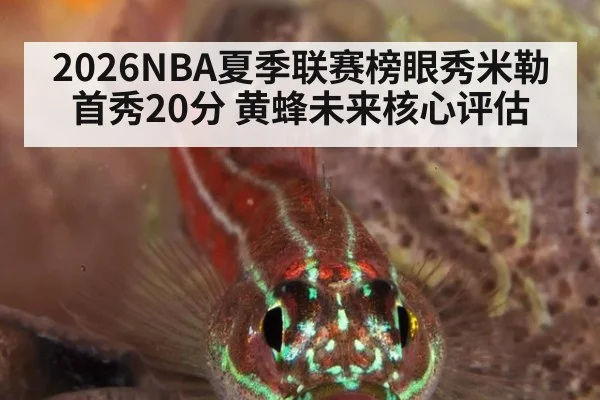 2026NBA夏季联赛榜眼秀米勒首秀20分 黄蜂未来核心评估