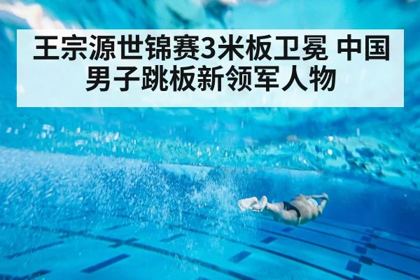 王宗源世锦赛3米板卫冕 中国男子跳板新领军人物