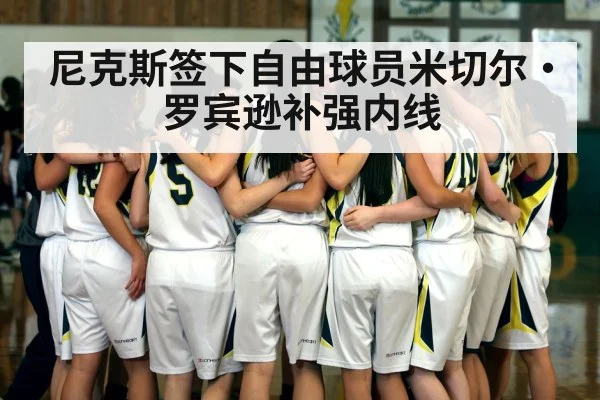 尼克斯签下自由球员米切尔·罗宾逊补强内线