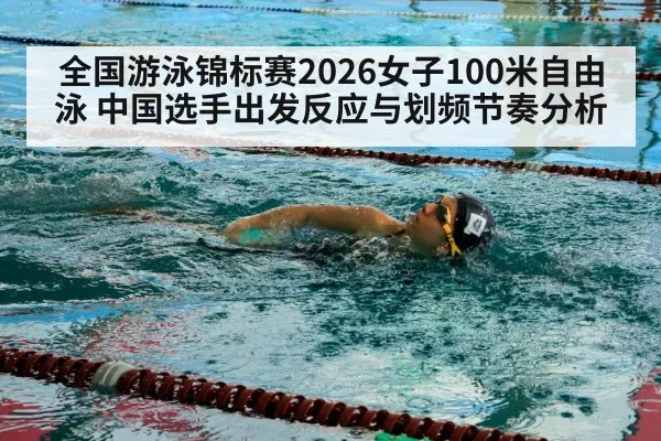 freestyle swimmer stroke technique competition pool
